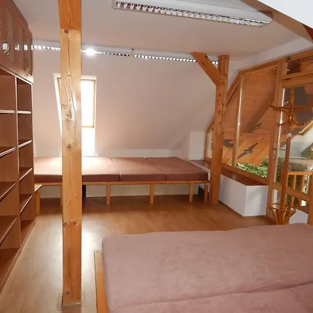 Гостевой дом Ubytovani V Parazoo Влашим